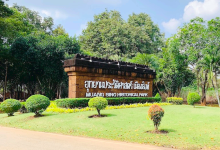 满星城历史公园景点图片