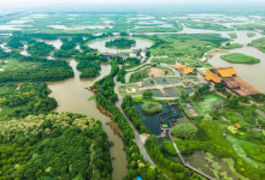杭州湾国家湿地公园景点图片