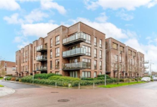 Adamstown Grove景点图片