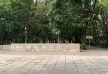 高雄都会公园景点图片