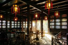 狮子林-苏州-阿诚的白日梦