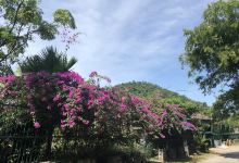 白马市国家公园景点图片