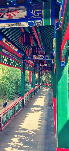 正定荣国府-正定-肖恩