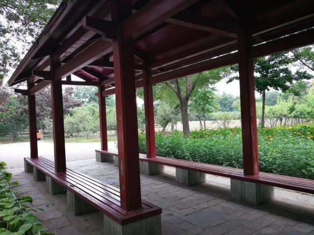 东坝公园旅行图片 5