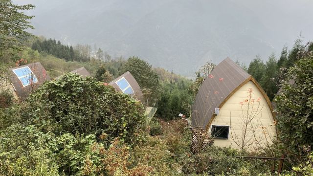 川西红枫岭旅行图片 1
