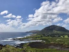竹林-茂宜县-东张西望望东西