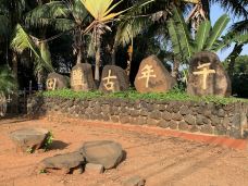 儋州千年古盐田-儋州-不可触碰撞的鱼