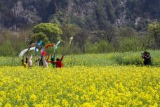 墨潭桃花岛-吉水-C-IMAGE