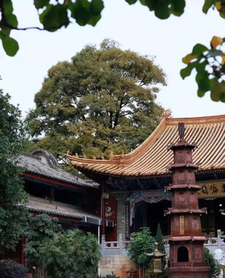墅游记:云轰趴昆明市拓东路上真庆观!