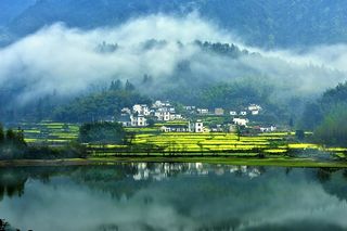 我在二月的婺源等一场春暖花开！