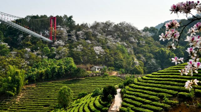 德宏仙佛洞旅游景区