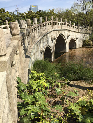 骑行漫记3-之奉贤南桥行