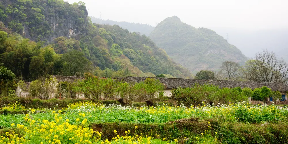 永安旅遊