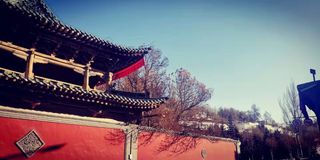 青海#塔尔寺#一日游