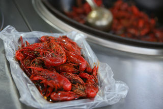 这个夏天,烧烤和扎啤更配哦————记松月湖蓝海钧华大饭店啤酒节