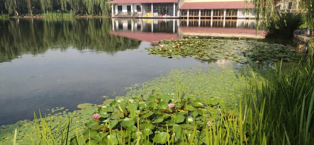 曲阳公园旅行图片 2