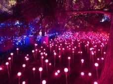 国家体育馆-北京-老鹰在飞翔