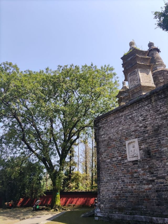 勑赐广德寺旅行图片 8