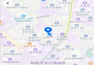 国际博览中心/中央公园游记图文-记忆之旅-----------------重庆