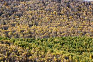 离北京最近的草原仙境,趁十一来打卡,错过就要再等一年