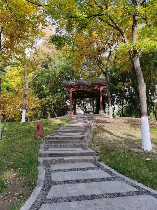 学府公园旅行图片 2