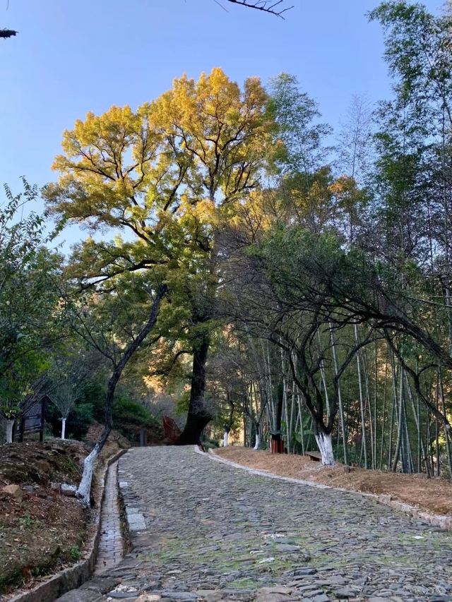 长南迳古道遗址旅行图片 6