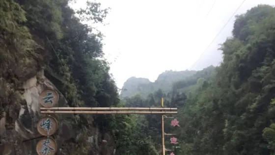 達州·大竹·雲峯茶谷AAA旅遊景區