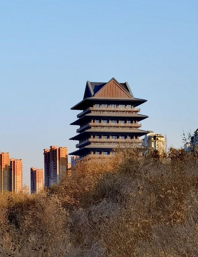 百合公园旅行图片 3