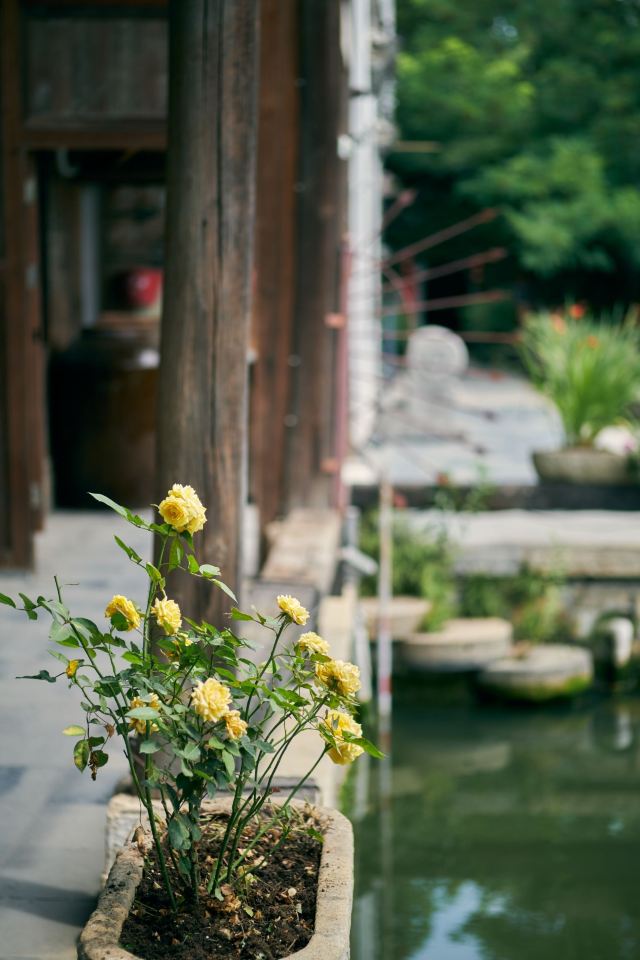 刘园古徽州文化园旅行图片 3