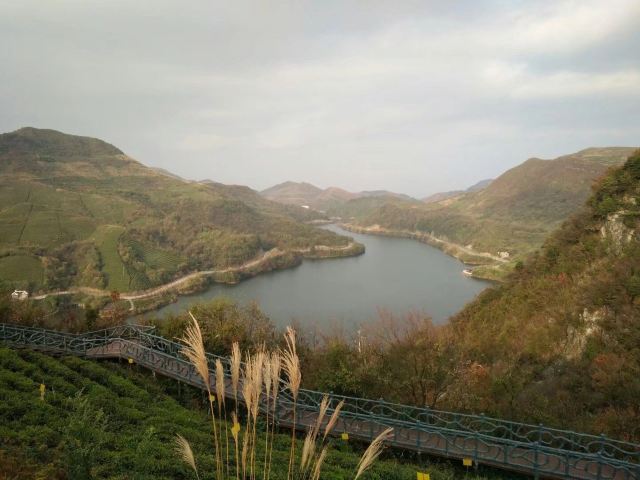 龙里大草原景区旅行图片 4