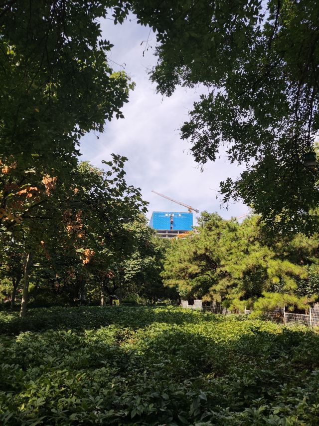 双秀公园旅行图片 13