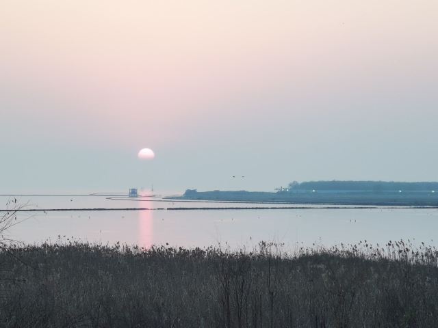巢湖湿地旅行图片 3