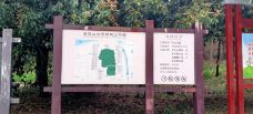 金霞山森林公园-湘潭县-中阳朱亮祖