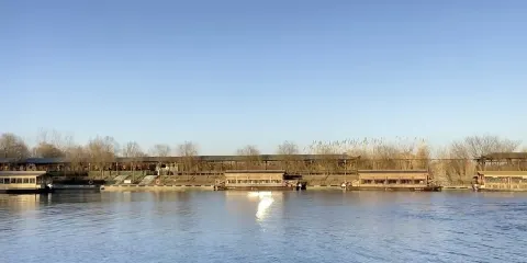 洪澤湖濕地觀鳥園