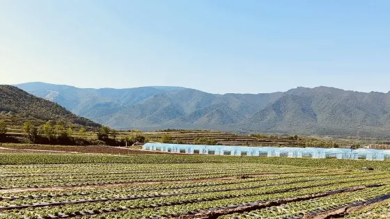 秦嶺蔬菜公園