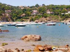 Playa Sa Riera-巴古尔