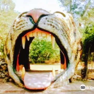 拉瓦尔品第图片