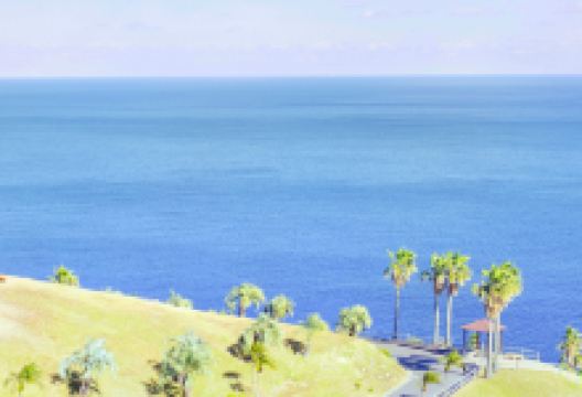 日南太阳花园景点图片