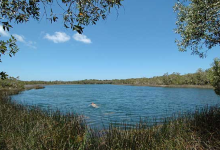 Honeyeater Lake景点图片