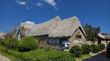 Seaweed House
