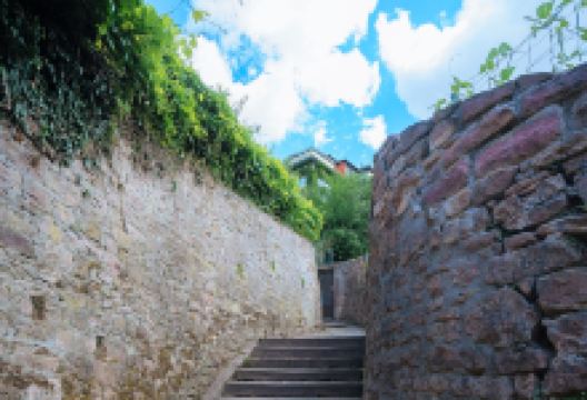 哲学家小径景点图片