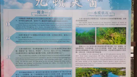 九頓天窗海菜花觀賞基地