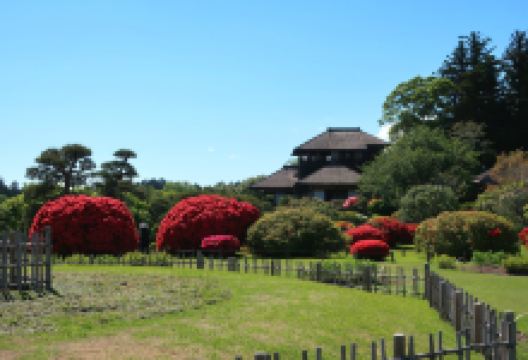 偕乐园景点图片