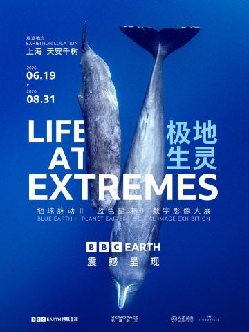 BBC EARTH极地生灵数字影像大展 - 上海站