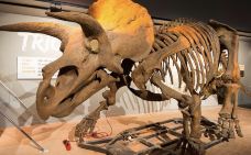 史密森博物馆-华盛顿-hiluoling