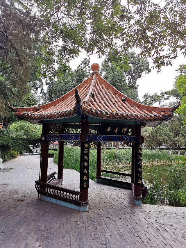 凤凰山公园旅行图片 2