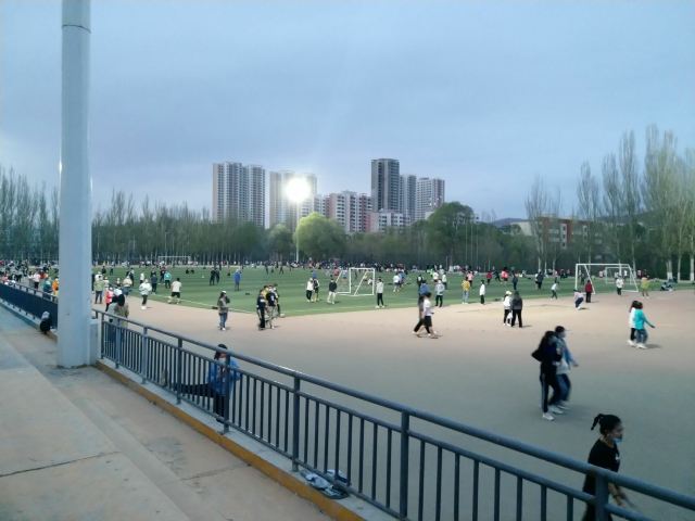 青海大学-党员活动公园旅行图片 1