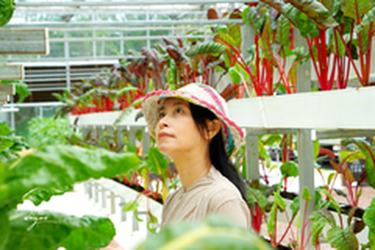 永州游记图片] 走读湖南，走进永州，畅游蓝山，看美丽乡村脱贫大蝶变