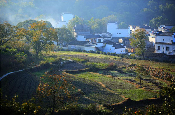 安徽这个地方一到秋天,令人如痴如醉