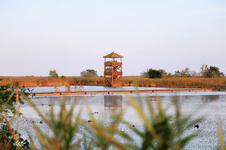 盐城旅行|三天两夜，走进仙鹤神鹿世界